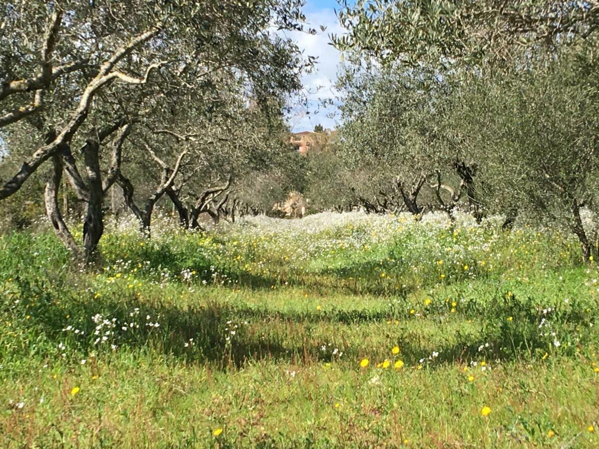 Mimosa Bilocale Cala Liberotto Luaran gambar