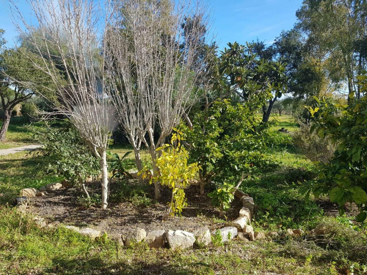 Mimosa Bilocale Cala Liberotto Luaran gambar