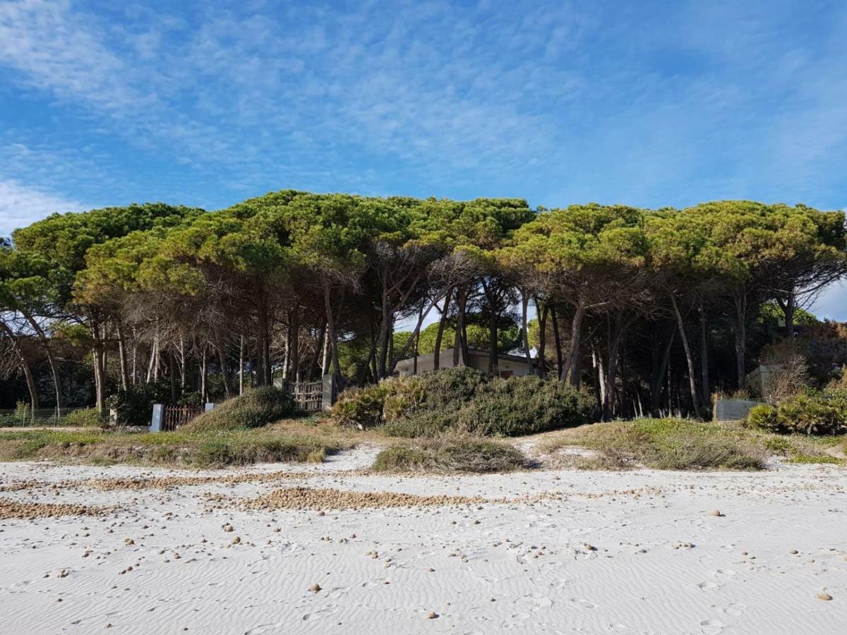 Mimosa Bilocale Cala Liberotto Luaran gambar