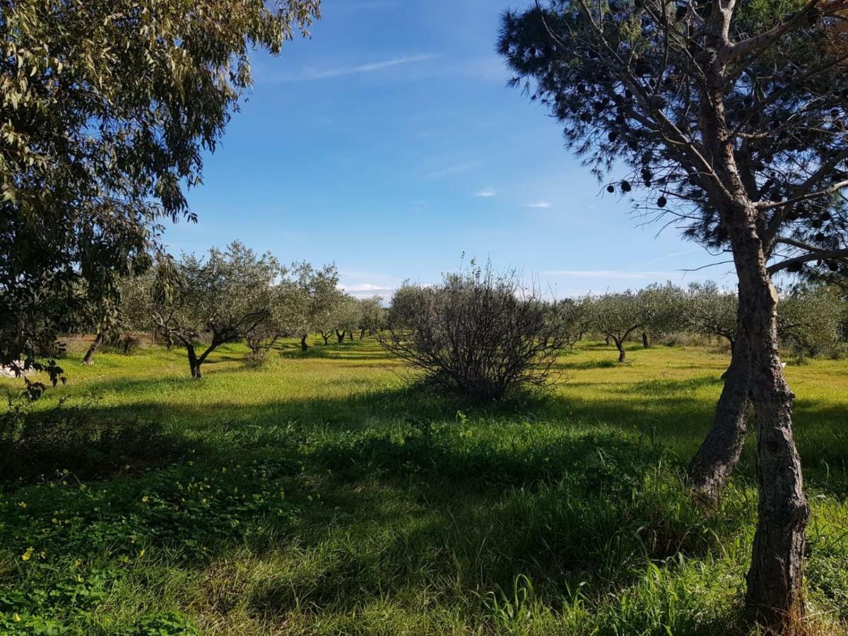Mimosa Bilocale Cala Liberotto Luaran gambar