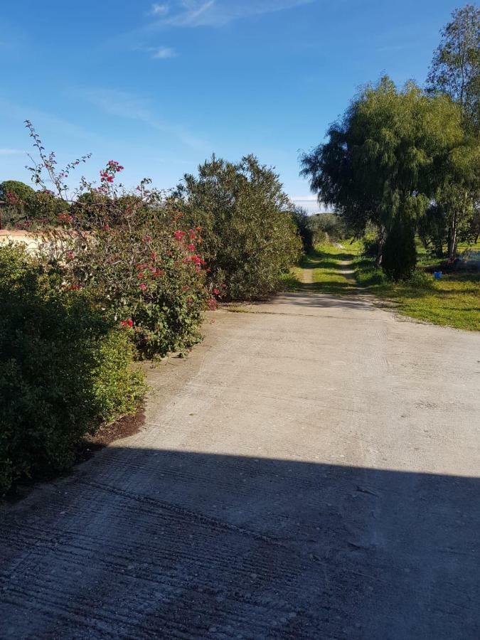 Mimosa Bilocale Cala Liberotto Luaran gambar