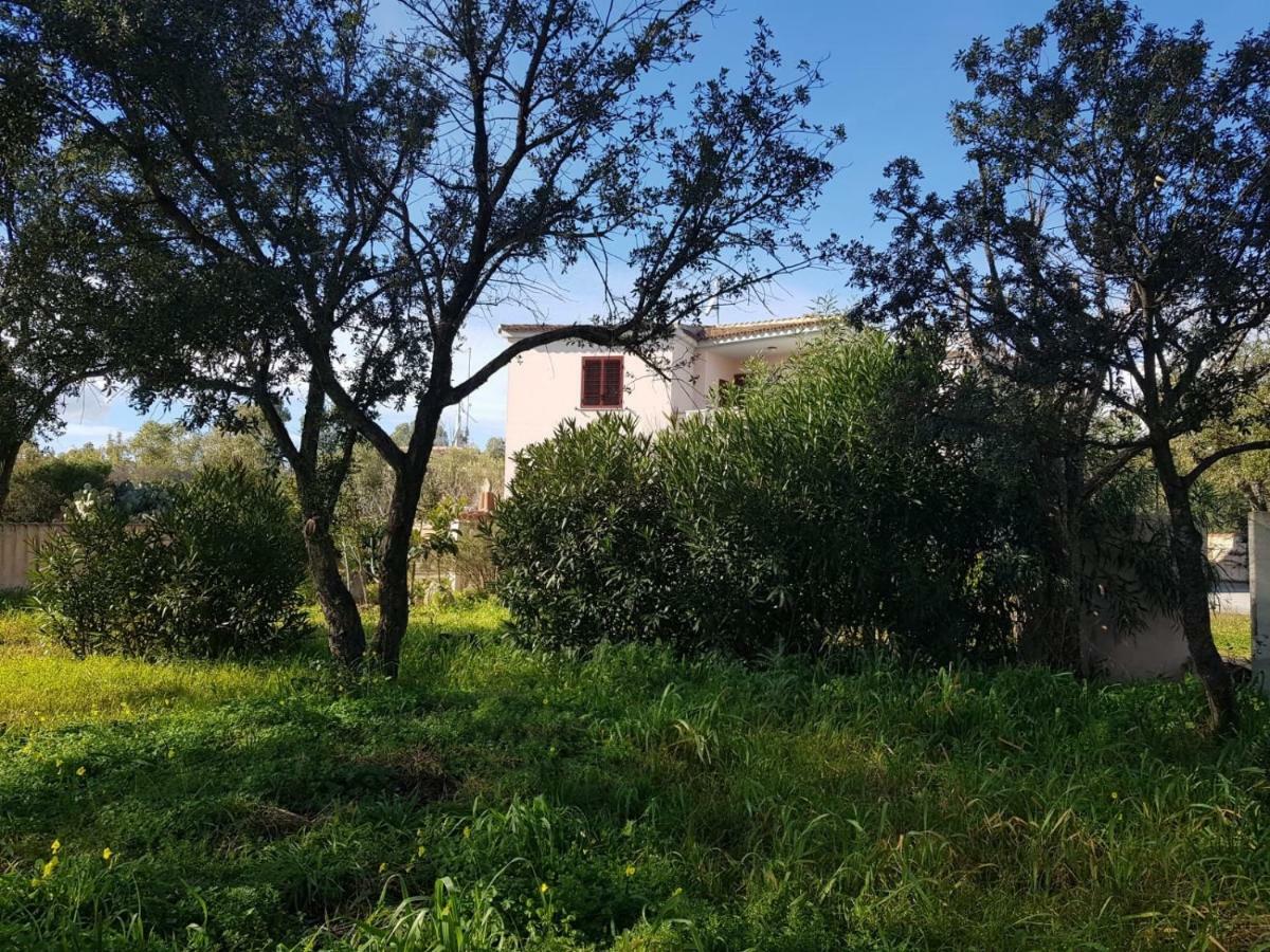 Mimosa Bilocale Cala Liberotto Luaran gambar