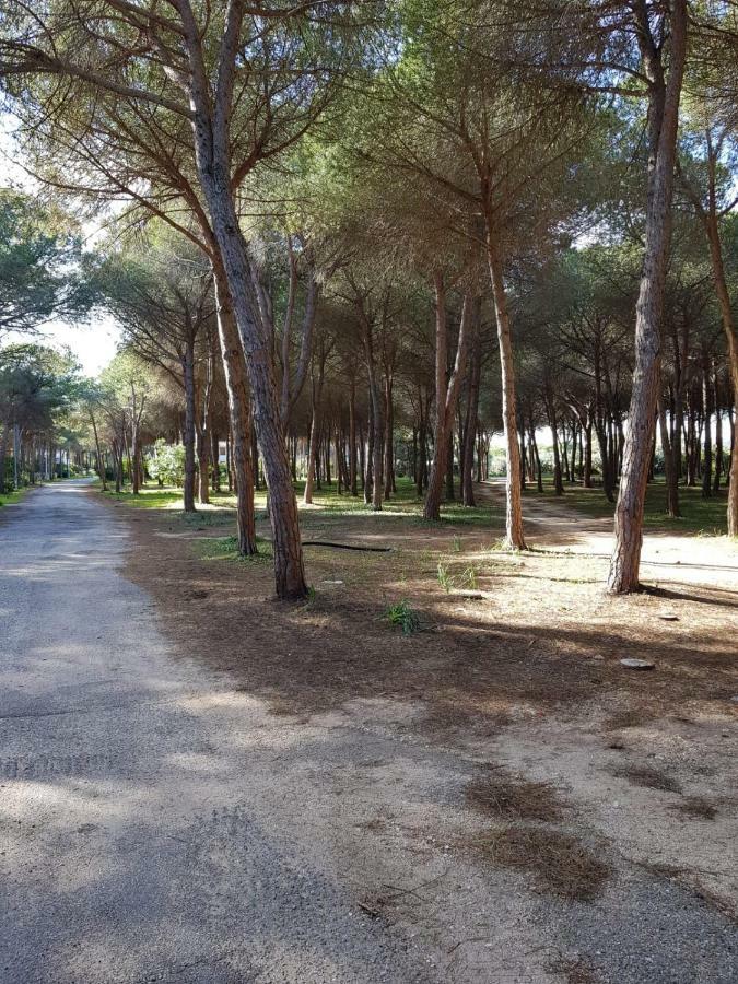 Mimosa Bilocale Cala Liberotto Luaran gambar