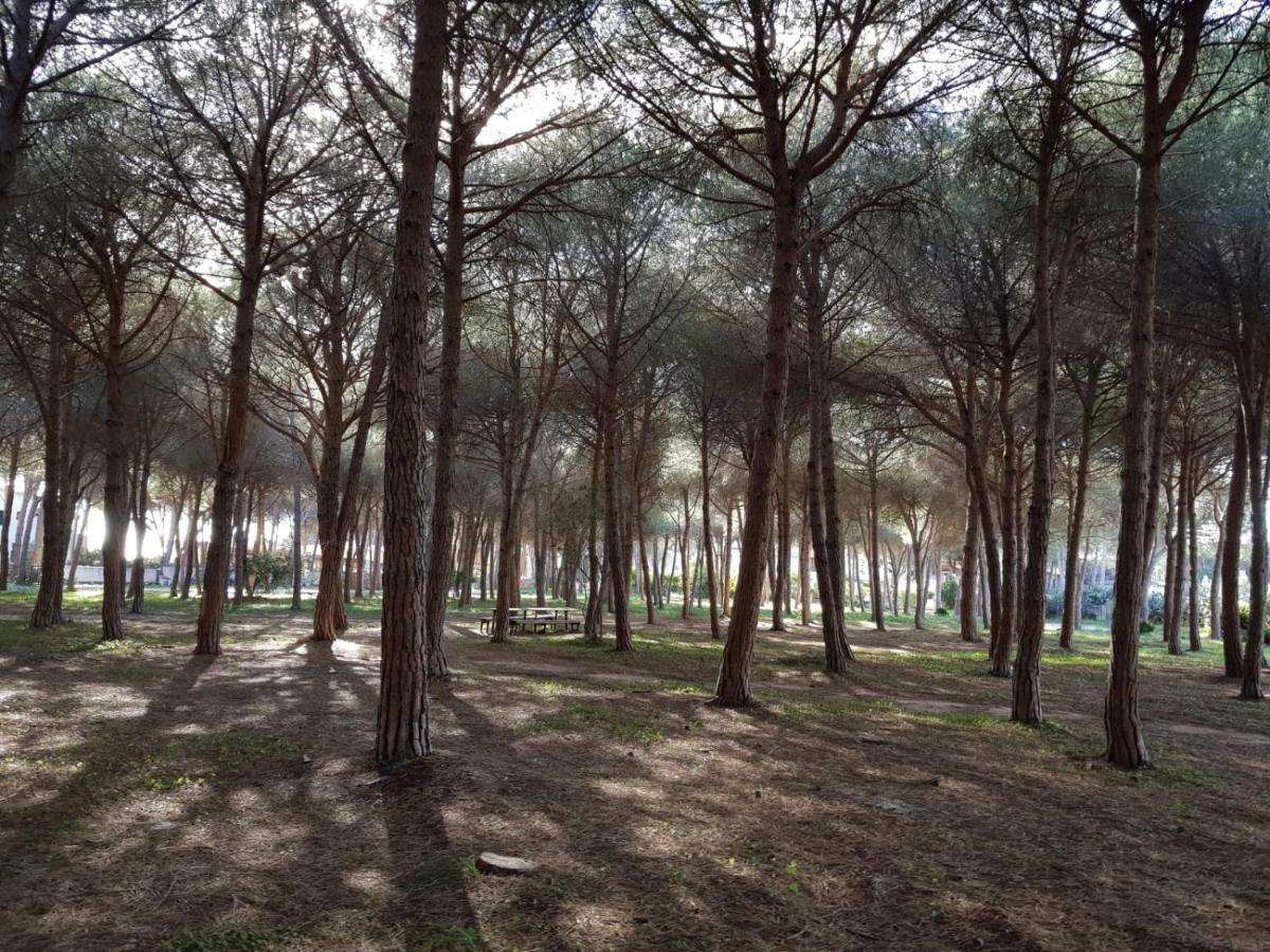 Mimosa Bilocale Cala Liberotto Luaran gambar